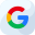 Googgle Icon